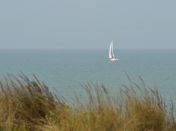 Tenuta di San Rossore - Riserva del Paduletto